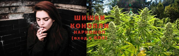 прущие крисы Новодвинск