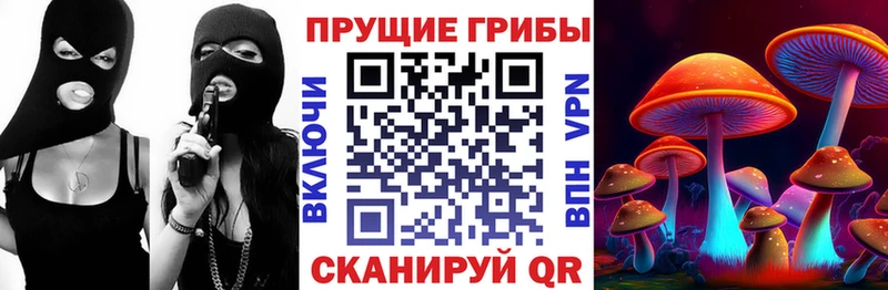 Псилоцибиновые грибы прущие грибы  Саяногорск 